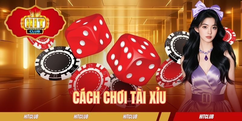 Cách Chơi Tài Xỉu - Hướng Dẫn Chi Tiết Từ A - Z Cho Newbie