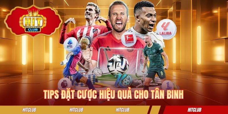 Tips đặt cược hiệu quả cho tân binh