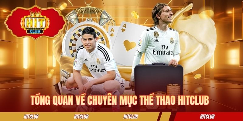 Tổng quan về chuyên mục thể thao HITCLUB 